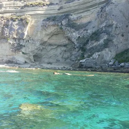 Simon فيلة لاميزيا تيرمي